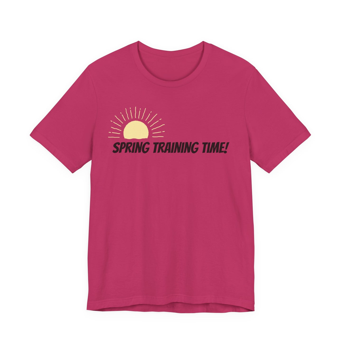 Spring Training Day Teach tease tee shirt