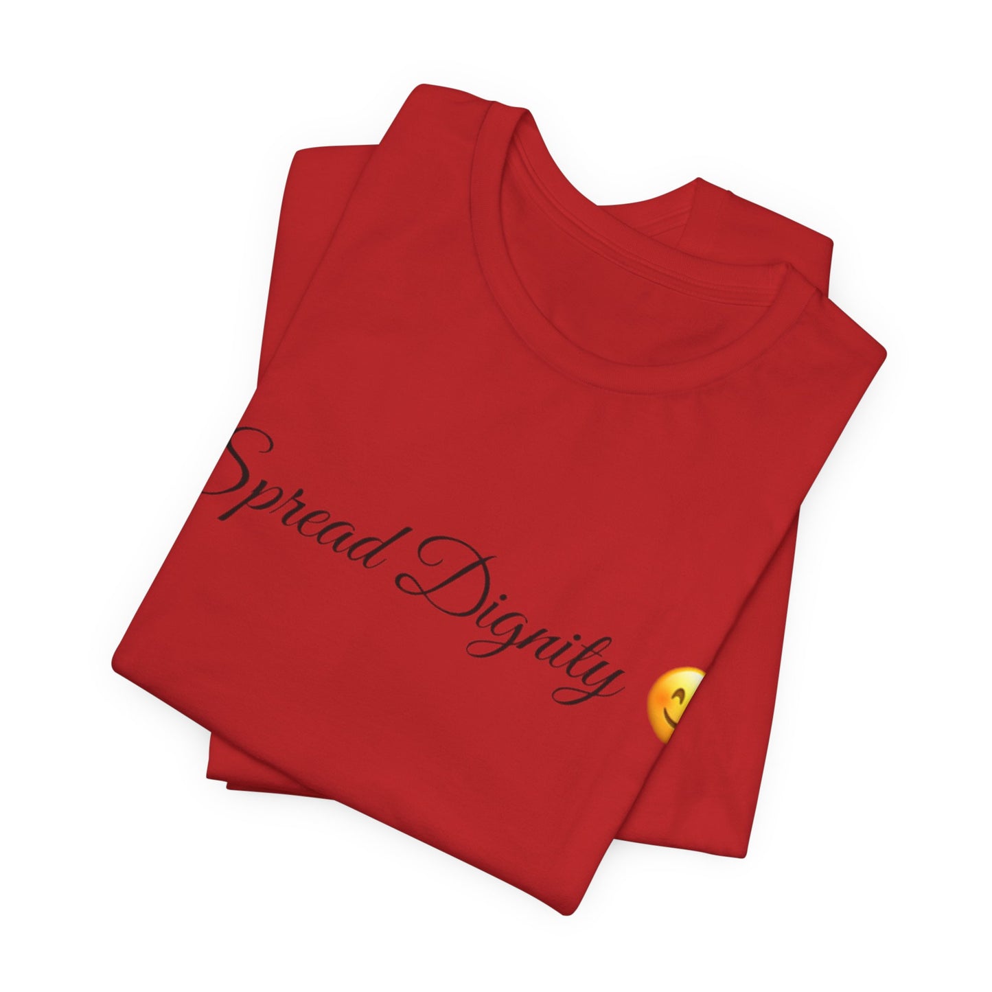 Spread Dignity Spread Tease tee shirt