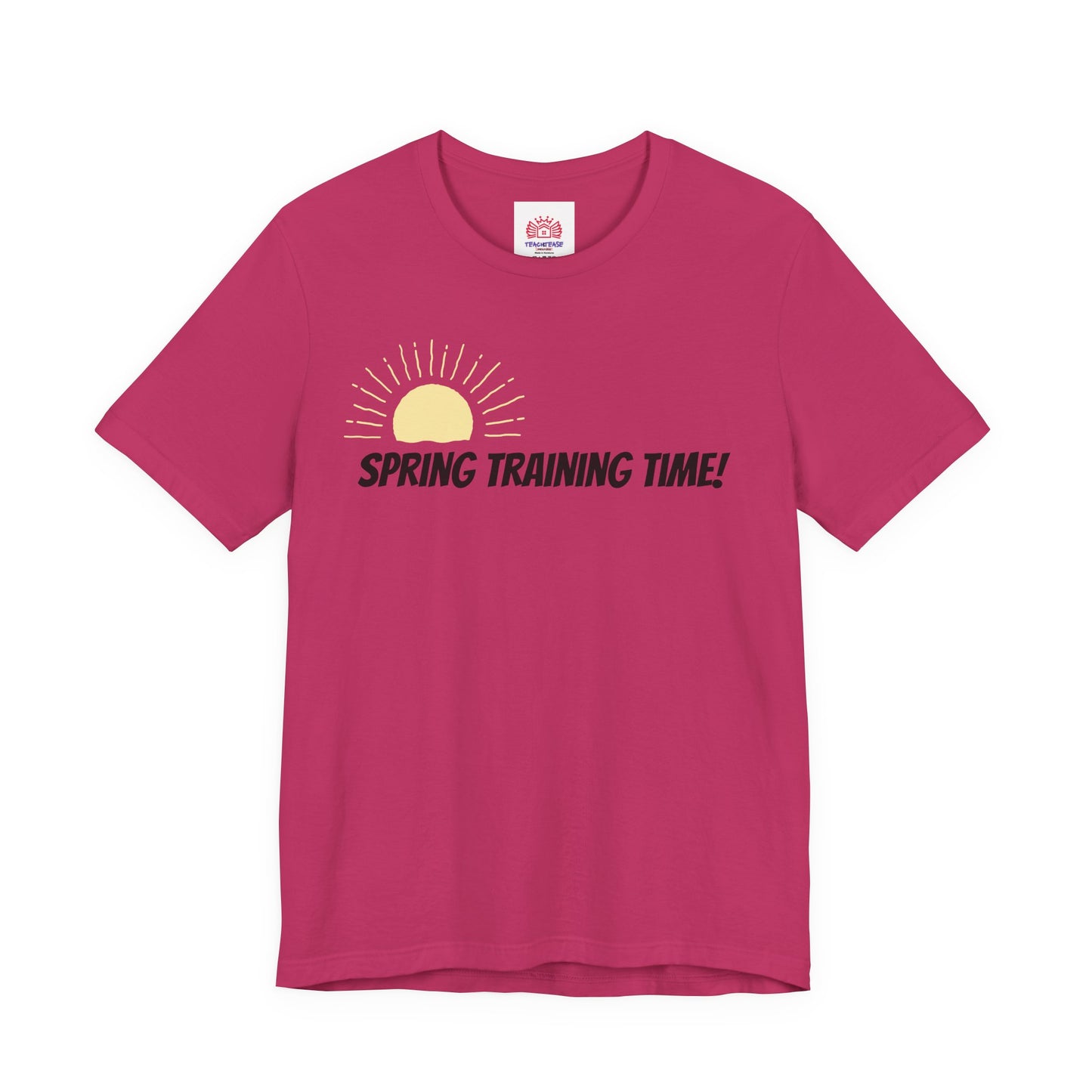 Spring Training Day Teach Tease tee shirt