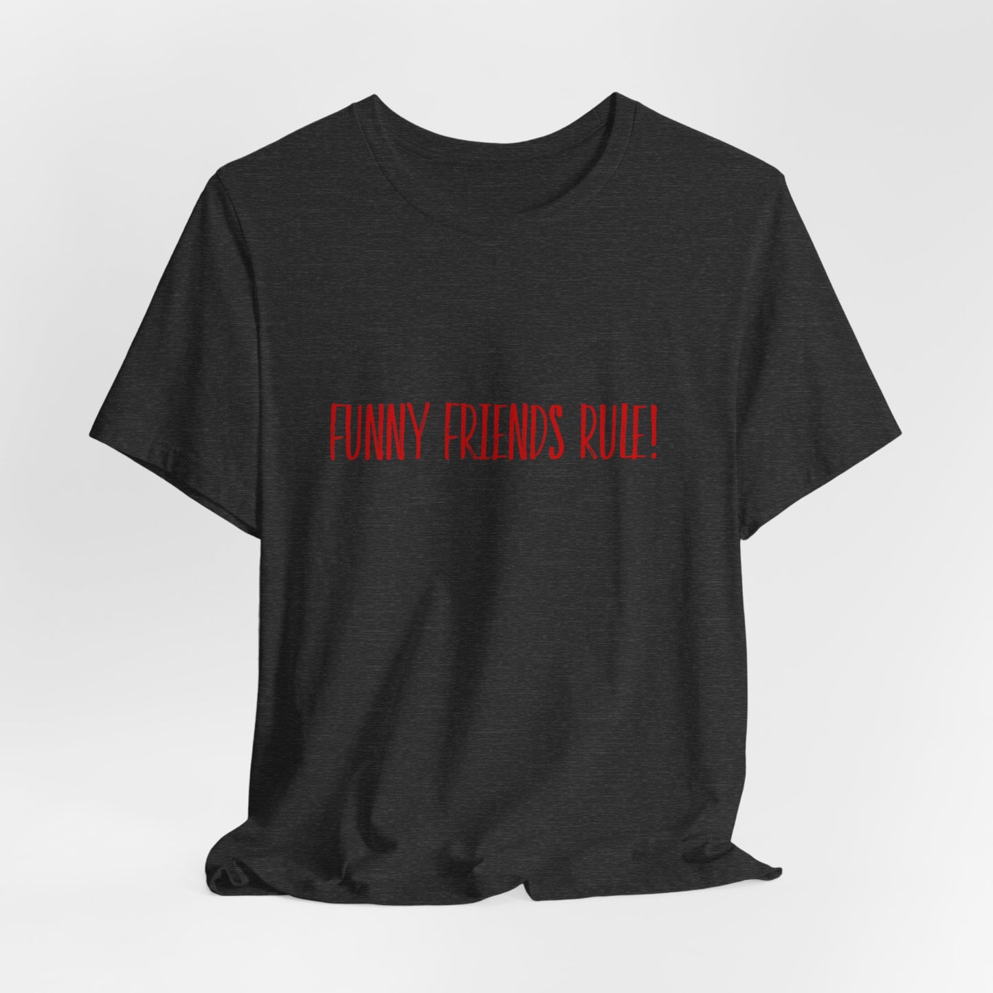 Funny Friends Rule Teach Tease Tee