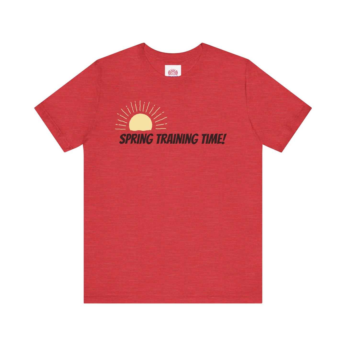 Spring Training Day Teach Tease tee shirt