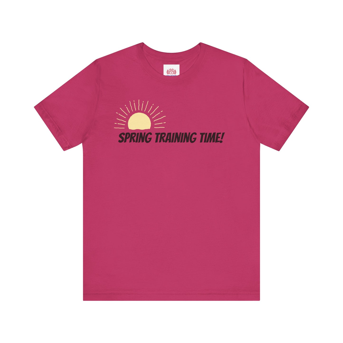 Spring Training Day Teach Tease tee shirt