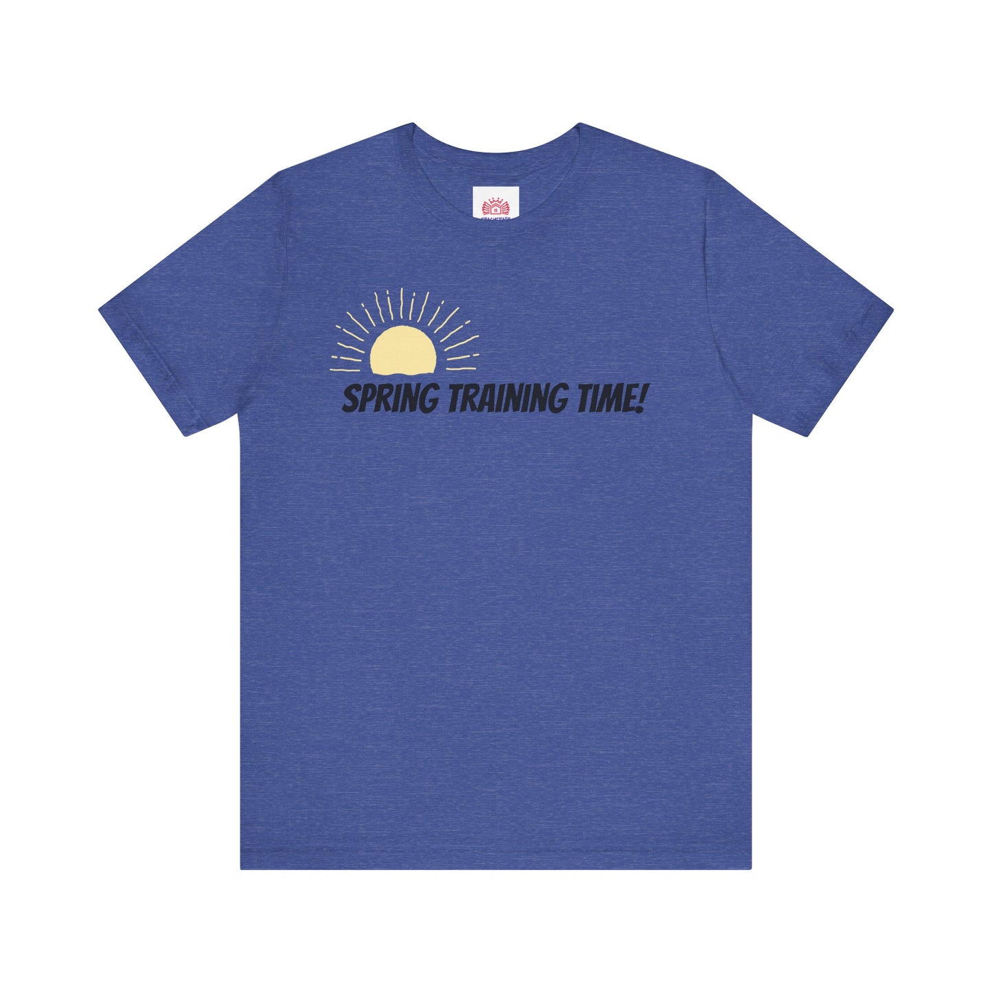 Spring Training Day Teach Tease tee shirt