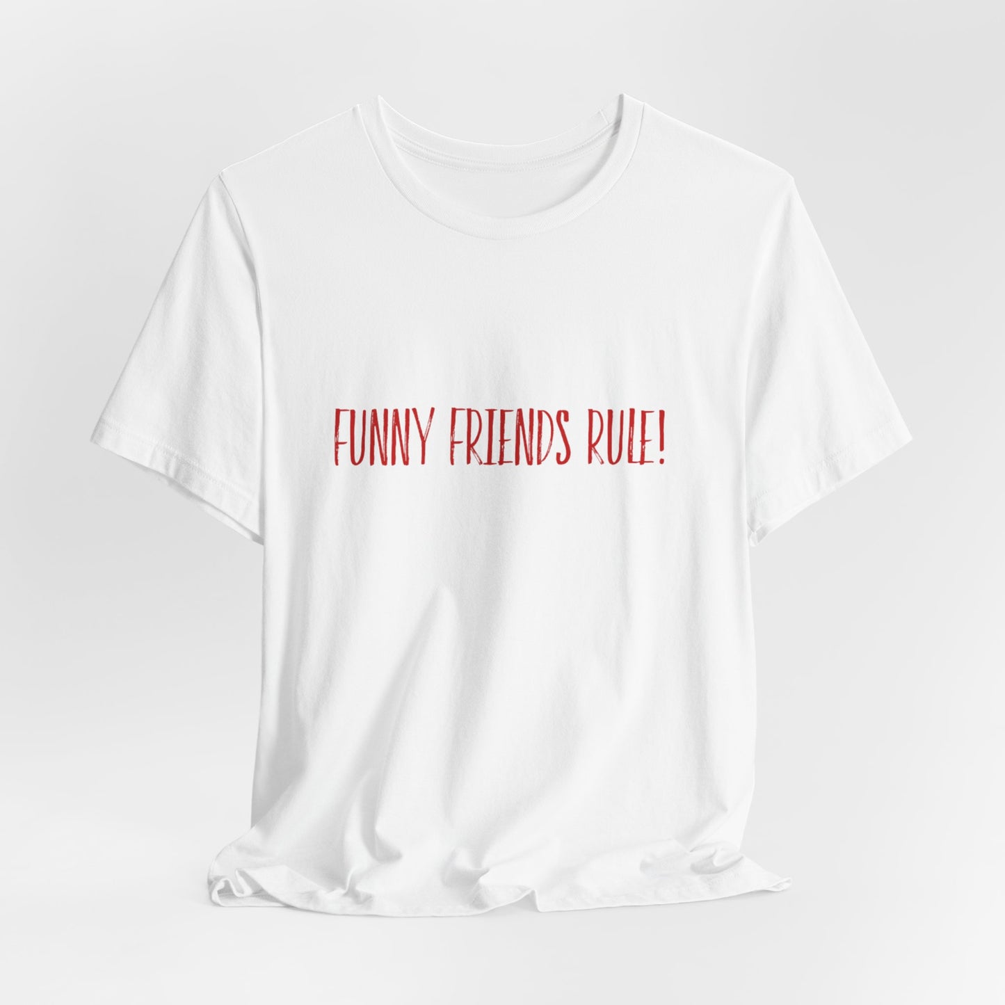 Funny Friends Rule Teach Tease Tee